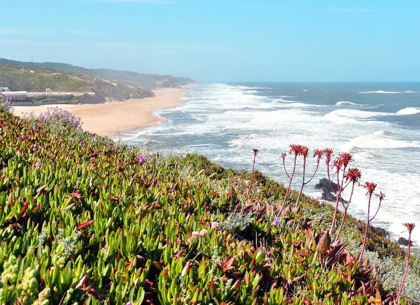Praia da Pedra Negra, Aguçadoura, Portugal, Portugal